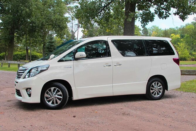 Mahogany Bay Cruise Port to Roatan - Arrival Private Transfer - Pickup and Drop-off Details