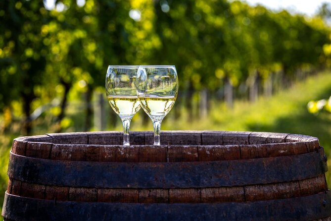 Majorca Winery Visit With Wine & Local Food Tasting From East - Accessibility