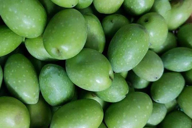 Make You Own Wildcrafted Extra Virgin Olive Oil! - Olive Oil Production Process