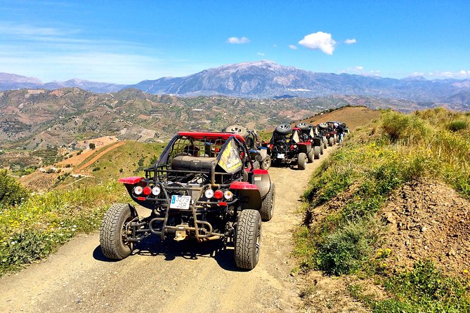 Malaga Shore Excursion: Panoramic Buggy Tour With Wine Tasting in a Historical Cellar - Pickup and Drop-off
