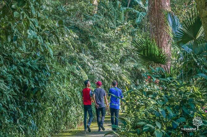 Malaysia: Penang Habitat Admission Ticket - Visitor Experience Highlights