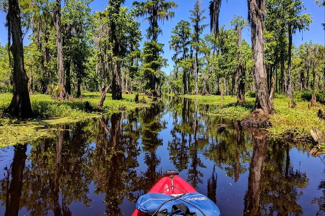 Manchac Swamp Kayak Tour for Experienced Kayakers With Pickup - Pricing and Inclusions