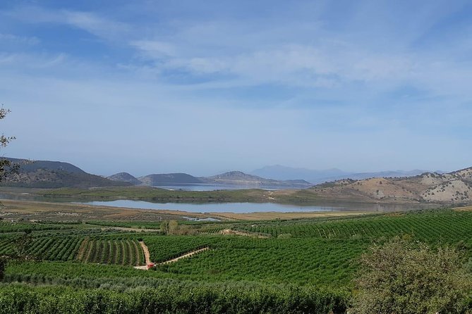 Mandarina Farming Tour With Food and Drink Tasting in Albania - Transportation and Convenience