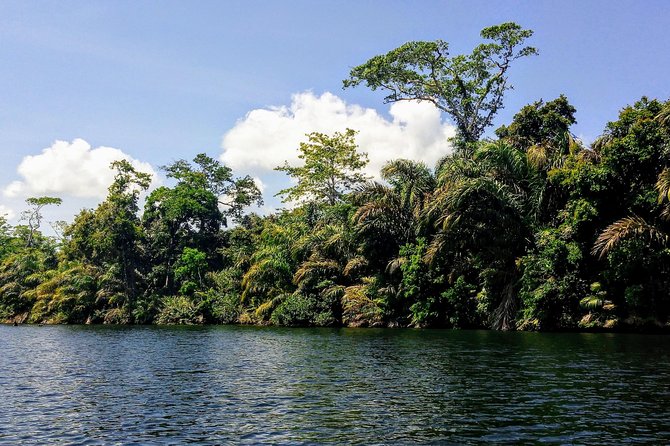 Mangrove & Gandoca Lagoon - Inclusions and Fees