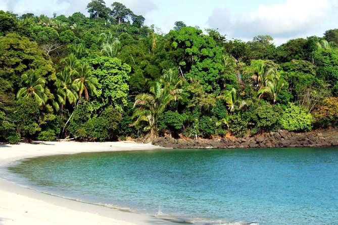 Manuel Antonio National Park Tour From San Jose. - Itinerary Highlights