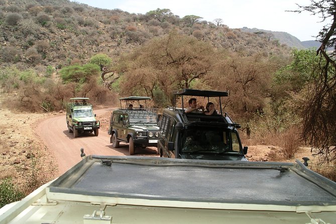 Manyara and Ngorongoro Crater - Exploring Ngorongoro Crater