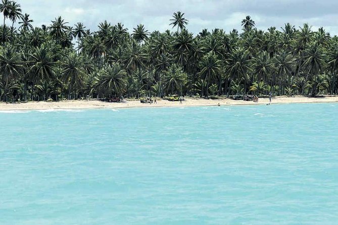 Maragogi Beach From Maceió - Full Day - Meeting and Pickup Details