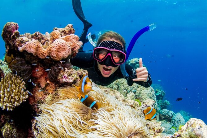 Margaritaville/Jeski Tour or Snorkeling in Montego Bay - Included Experiences