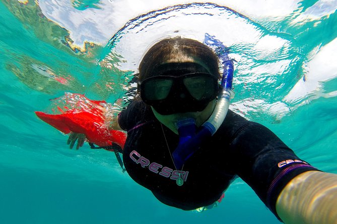 Marietas Islands Snorkeling & Hidden Beach (W/ Restrictions) - Hidden Beach Access Regulations