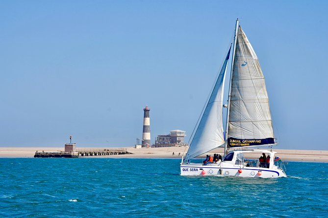 Marine Dolphin Seal Cruise - Abundant Marine Wildlife