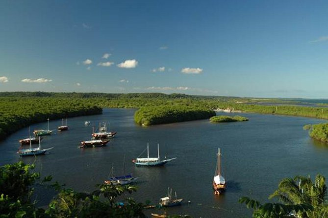 Marinho Da Coroa Alta Park Nautical Tour and Mud Bath From Porto Seguro - Riverboat Exploration