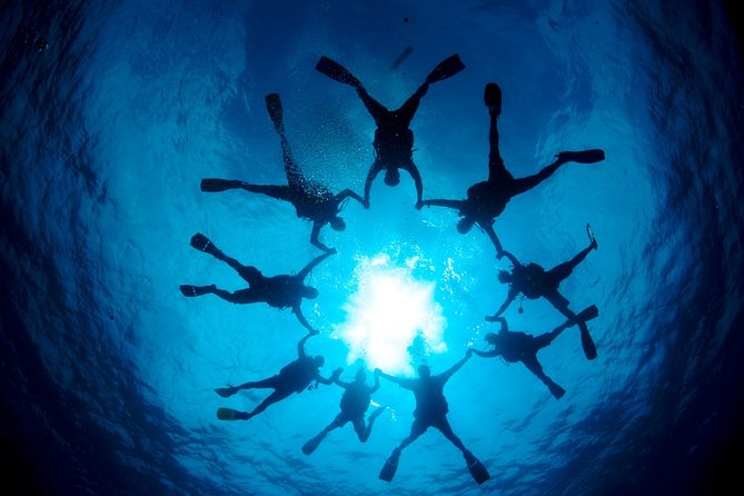 Marmaris & Icmeler Scuba Diving - Dive Experience Details