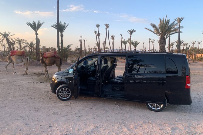 Marrakech City Tour With Driver - Half-Day - Inclusions and Exclusions
