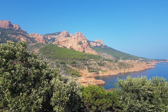 MARSEILLE Shore Excursion Full Day Private Tour: Taste of Provence - Meeting and Pickup