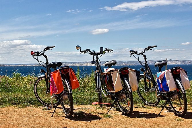 Marseille Shore Excursion Private EBike Tour to the Calanques - Itinerary Highlights