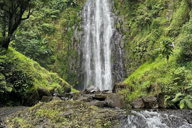 Materuni Waterfall and Coffee Plantation Half Day Tour - Highlights of the Waterfall