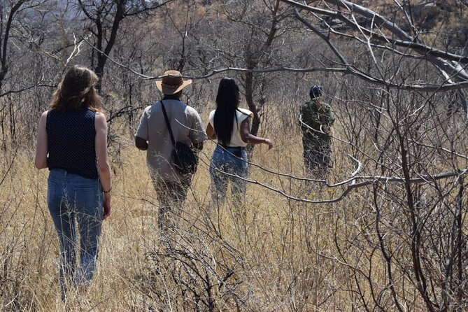 Matobo Rhino Encounter - Highlights of the Tour