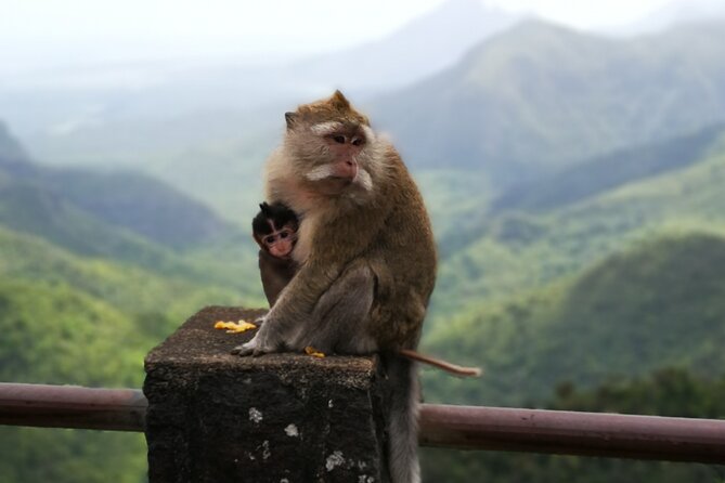 Mauritius Guided South Tour (Private) - Included Amenities