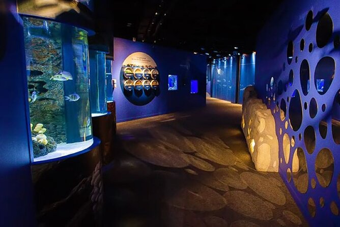 Mauritius Odysseo Oceanarium in Port Louis - Interactive Educational Experiences