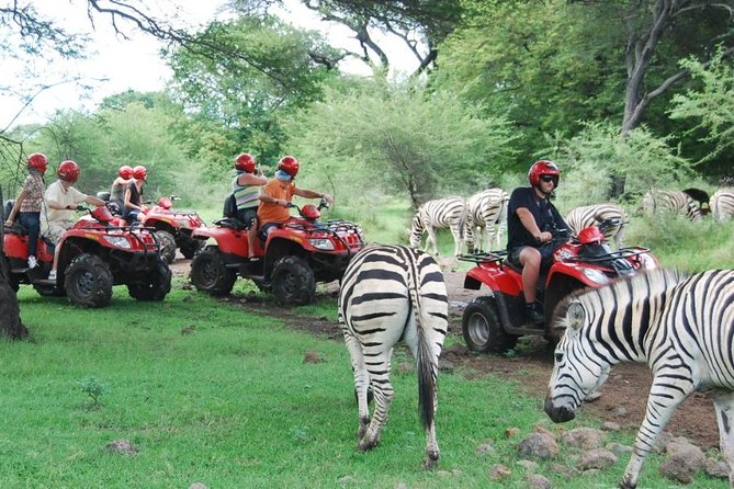 Mauritius Quad Biking at Casela (Single Quad or Double) - Pricing and Booking Details