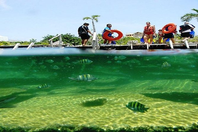 Mayan Adventure From Cancun - Meeting and Pickup
