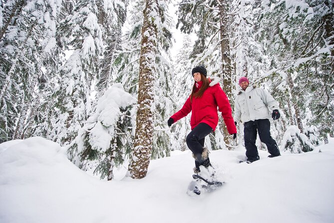 Medicine Trail Snowshoe Tour - Whats Included