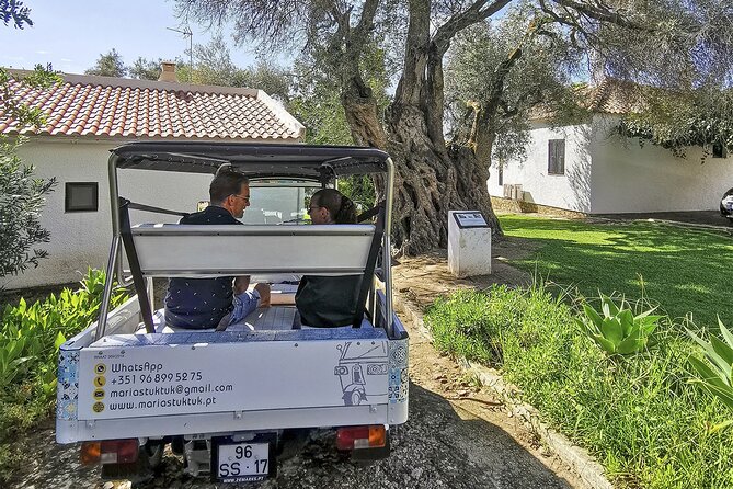 Meet Santa Luzia / Capital of Octopus / Salinas in a 100% Electric Tuk Tuk - Exploring Santa Luzias Fishing Village