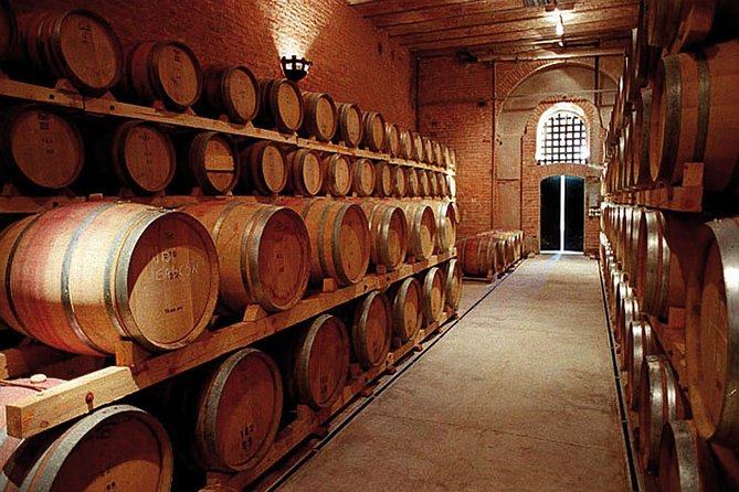 Mendoza Wine Route A Full Day Private Excursion - Transportation Options