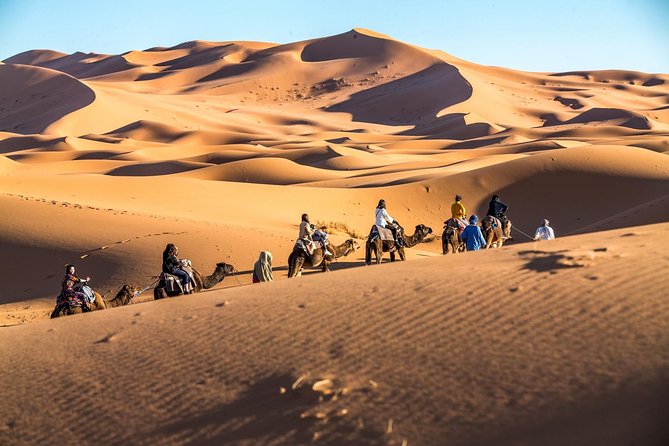 Merzouga Sahara Desert - Accessibility and Additional Information