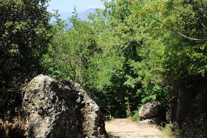 Meteora Day Trip From Thessaloniki - Itinerary Highlights