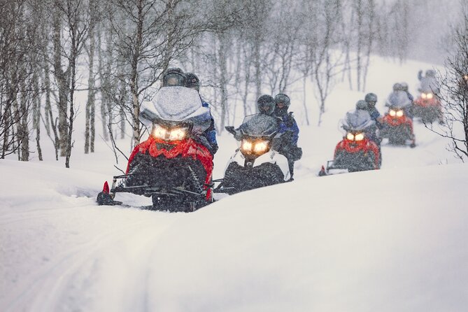 Midday Snowmobiling in Camp Tamok With Guide - Whats Included in Your Adventure