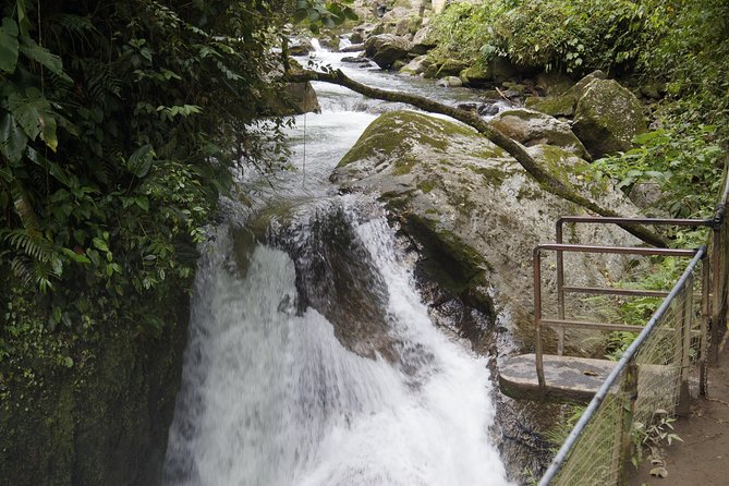 Mindo Cloudforest and Birdwatching From Quito by ECUADORTREASURE - Inclusions and Pricing