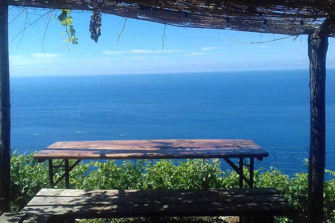 Minitrekking and Visit of the Cinque Terre Vineyard - Cinque Terre Landscape