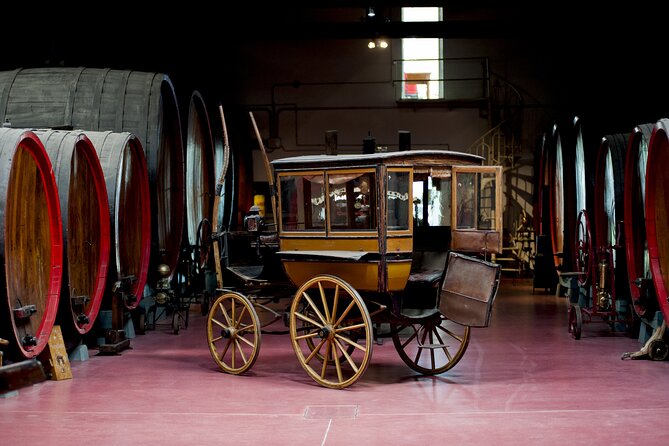 Modena Area: Lambrusco Wine Tasting Experience - What to Expect During the Tour