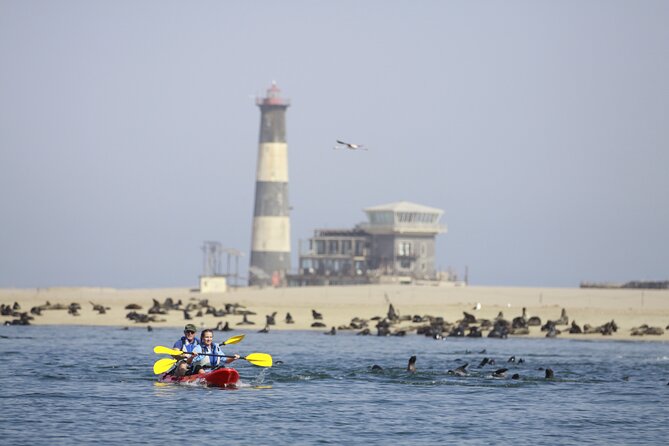Mola Mola Kayaking Experience With a Licensed Guide - Booking and Cancellation Policy