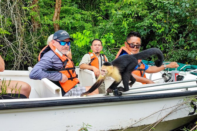 Monkey Island Tour + Nature Center From Riu Playa Blanca - Inclusions