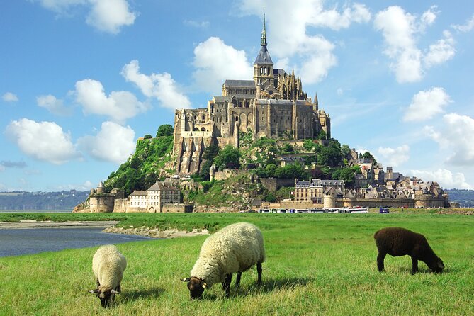 Mont Saint Michel Tour From Le Havre (Price per Group up to 7) - Experience and Accessibility