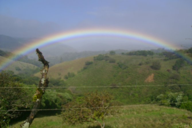 Monteverde Cloud Forest, Sloth, Hanging Bridges, Butterflies Tour - Meeting and Pickup Details
