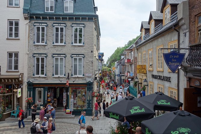 Montreal City Sightseeing Tour With Live Commentary - Logistics and Accessibility