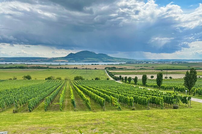 Moravian E-Bike & Wine Day Trip From Brno - Pickup Information
