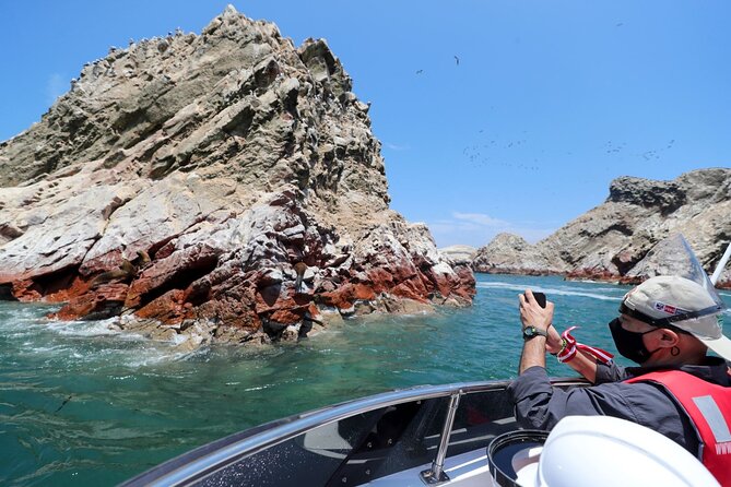 Morning: Ballestas Island Tour From Paracas With Entrances - Itinerary Highlights