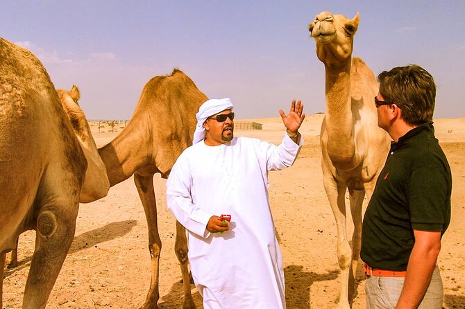 Morning Camel Safari Tour With Breakfast - Transportation and Pickup Details