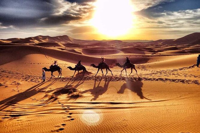 Morning Desert Safari With Sand Boarding and Dune Bashing - Itinerary Details
