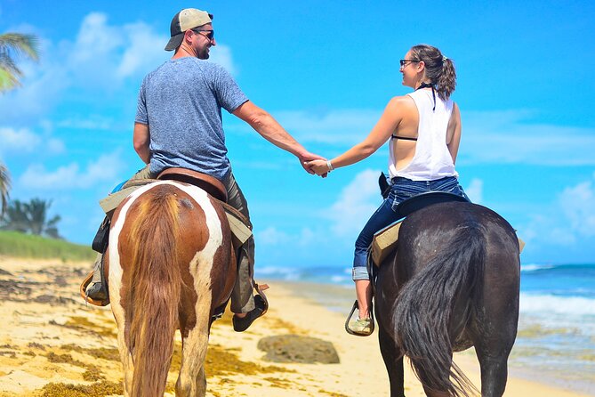 Morning Horseback Riding Tour From Punta Cana - Included Experiences