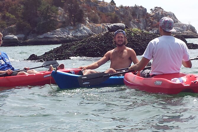 Morning Kayak & Seal Cruise - Experience Highlights