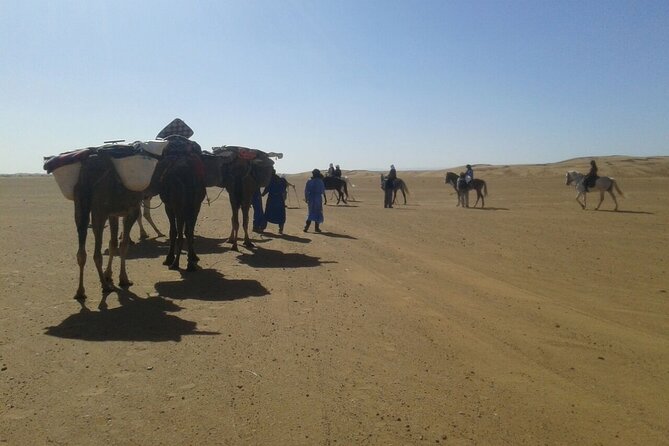 Morocco Camel Treks Experiences 2 Nghits in Erg Chabbi Desert - Inclusions of the Experience
