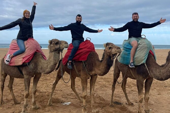 Morocco Day Trip From Spain: Private, Luxury & All-Inclusive - Inclusions and Amenities