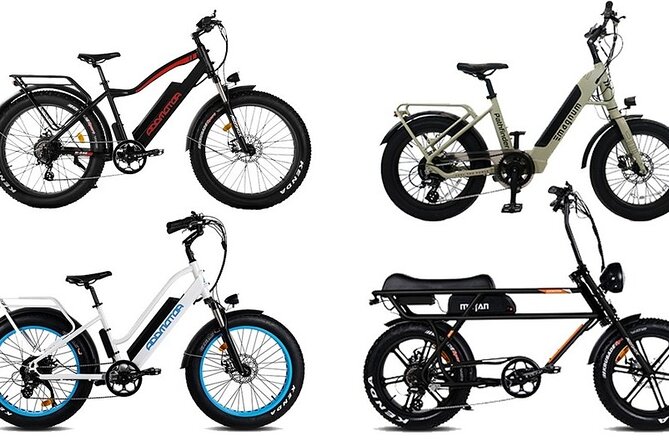 Motorcycle Style Ebike Fat Tire Rental in Puerto Rico - Rental Details and Inclusions