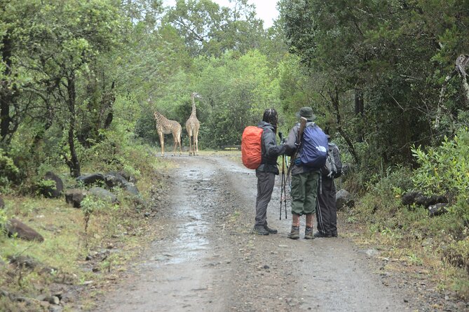 Mount Meru 4 Days Hike - Included Services