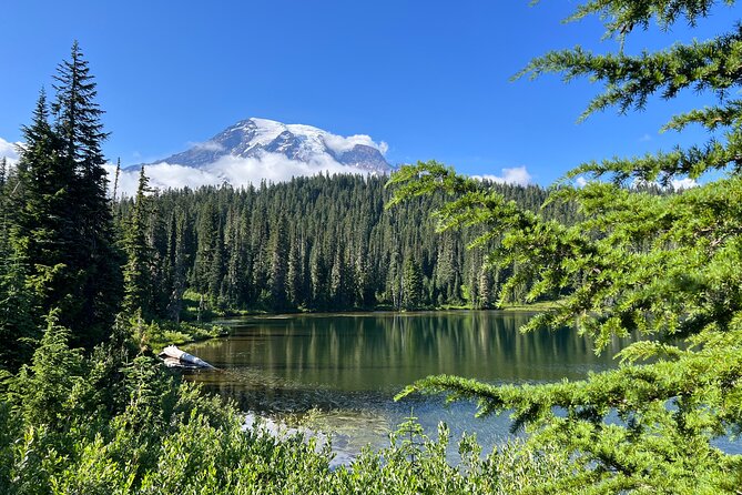 Mount Rainier Customized Tour From Seattle - Meeting and Pickup Details